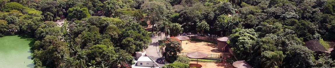 Imagem aérea do Zoológico de São Paulo - SP.
