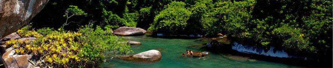 A Praia do Cachadaço é cercada por piscinas naturais e vegetação nativa em Paraty - RJ.