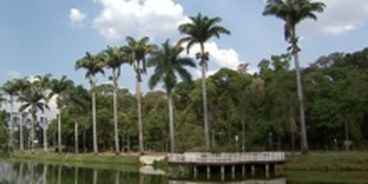 Image for Jaboticabal