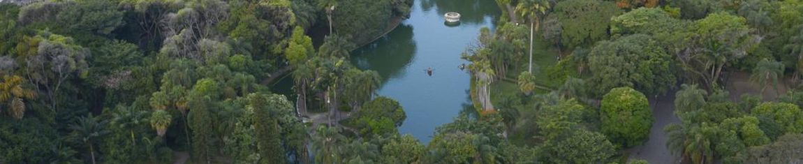 Imagem aérea do Parque Municipal Américo Renné Giannetti em Belo Horizonte - MG.