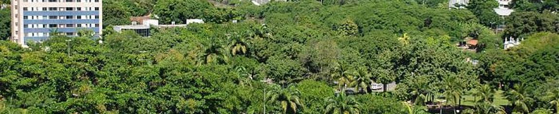Vista panorâmica para o Parque da Jaqueira em Recife - PE. 