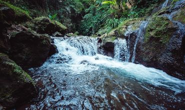 Sucuri toma banho de cachoeira e é levada por correnteza